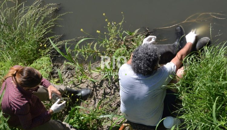 PdUDF3O3L_1300x655__1 (1)